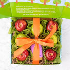 Apples, Peanut Butter & Honey Gift Box