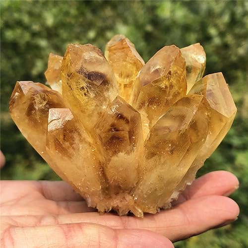 Citrine Quartz Cluster Reiki Healing Irregular Shape & Size Natural Crystal Point Mineral Crystal Specimen Home Decor (200~300g)