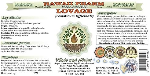 Hawaii Pharm Lovage Alcohol-Free Liquid Extract, Lovage (Levisticum Officinale) Root Glycerite Natural Herbal Supplement 2 oz