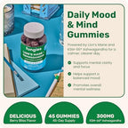 Fungies Lion's Mane KSM-66 Ashwagandha Gummies, Berry Flavor - Mushroom Supplement Adaptogen Gummy Supports Brain Health, Cognitive Function, Focus, Memory & Mood - Mind-Body Wellness, 45 Servings