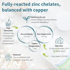 Igennus Clean Chelated Zinc 25mg with Copper, Fully Reacted Picolinate & Bisglycinate Complex, High Bioavailability & Gentle on the Gut, Third-Party Tested, Immune & Skin Support, 6 Month Supply