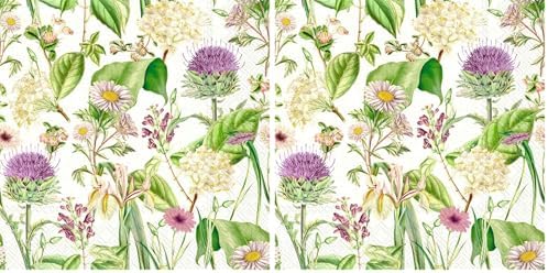 IHR Ideal Home Range - Paper Napkins WILDFLOWER cream 20-Count 3-Ply Cocktail Napkins 5 x 5 inches (Pack of 2)