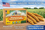 Birds LOVE 1 lb Wholesome Spray Millet for Birds – USA Grown, Natural Sun-Dried Millet Sprays –Thick Clusters Bird Treat for Parakeets, Budgies, Cockatiels, Conures, Finches & Parrots