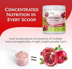 Pomegranate Juice Powder - Organic Pomegranate Fruit Juice Concentrated Antioxidants & Electrolytes - Instant Drink Mix Powder for Hydration, Baking, Flavoring, Sugar Free 11 oz (Pack of 1)