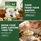 German Chamomile Seeds for Planting - 10,000+ Heirloom Seeds (Matricaria chamomilla), Homegrown Herbal Tea, Attracts Pollinators, Self-Seeding, USDA Zones 4-9, Medicinal Herb