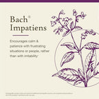 Bach Original Flower Remedies, Impatiens - Have Patience - Natural Homeopathic Flower Essence for Emotional Balance - Vegan, Gluten Free, Sugar Free - 20mL Dropper