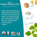 Earth Mama Organic Ginger Nausea™ Tea | Comforts Occasional Nausea + Morning Sickness, 16 Teabags Per Box