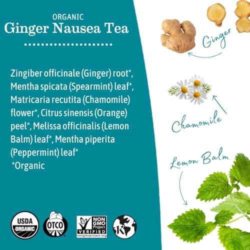 Earth Mama Organic Ginger Nausea™ Tea | Comforts Occasional Nausea + Morning Sickness, 16 Teabags Per Box