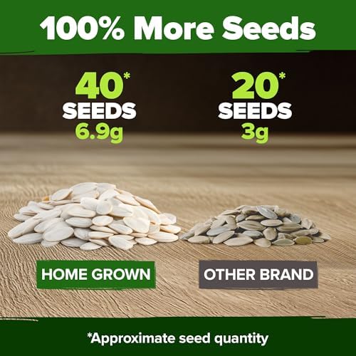 HOME GROWN Pumpkin Seeds for Planting - 5 Variety Mix - 40 Seeds - Heirloom Non GMO USA - Vegetable Garden - Edible & Jack O Lanterns - Connecticut Field Blue White Mini - Autumn Harvest