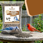 Striped Sunflower Seeds, Shelled Seeds for Birds – Premium Wildlife & Bird Food – Grown in USA - Striped Sunflowers for Backyard Feeders and Wild Birds (5 LB)