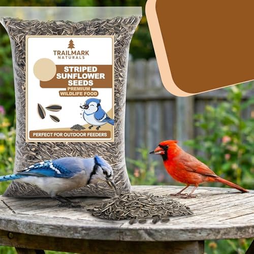 Striped Sunflower Seeds, Shelled Seeds for Birds – Premium Wildlife & Bird Food – Grown in USA - Striped Sunflowers for Backyard Feeders and Wild Birds (5 LB)