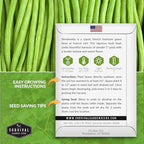 French Slenderette Green Bean Seeds for Planting - Haricot Vert Filet Bush Beans - Thin Tender Stringless Pods - Non-GMO Heirloom Gourmet Vegetable for Gardens - Survival Garden Seeds (1 Pack)