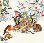 12 Styles Assorted Christmas Napkins for Decoupage - Variety of Winter Bird Designs - Decorative Paper for Beautiful Holiday Crafts - 1 Each 6.5