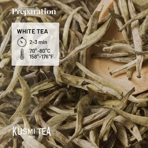 Kusmi Tea - Tropical White - Organic Blend of White Tea and Green Tea with Mango and Passion Fruit - Organic Flavored White Teas - Smooth, Flavourful Tea - 20 Tea Bags