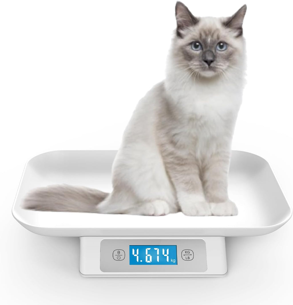 Digital Pet Scale for Small Adult Cats and Animals, Measuring Range 0.1oz-33lbs, Accuracy 1g/0.035oz, Units g/kg/lb/oz/tl/ml, Suitable for Kittens, Puppies, Snakes,and Small Dog (Grey)