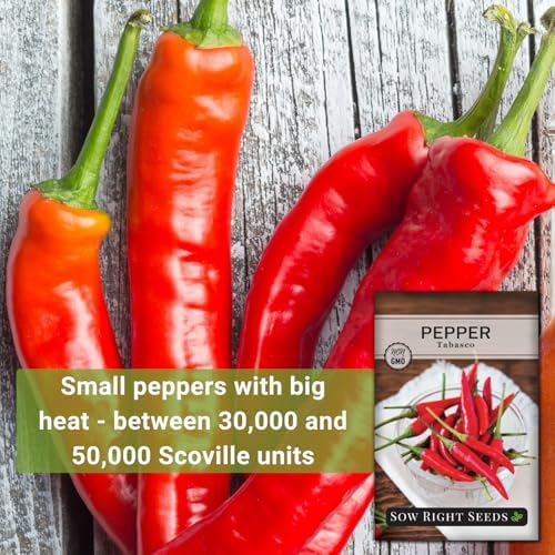 Sow Right Seeds - Tabasco Pepper Seeds for Planting - Non-GMO Heirloom Hot Pepper Variety - Grow Your Own Spicy Peppers - Used in New Orleans Hot Sauce - Perfect for Gardeners - High Yield (1)
