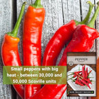 Sow Right Seeds - Tabasco Pepper Seeds for Planting - Non-GMO Heirloom Hot Pepper Variety - Grow Your Own Spicy Peppers - Used in New Orleans Hot Sauce - Perfect for Gardeners - High Yield (1)