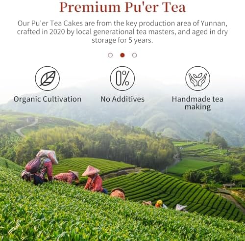 CHADUO Puerh Tea Cake 357g/12.6oz Ripe Pu erh Tea Chinese Fermented Puer Classic Premium Yunnan PuerhTea Aged For 5 Years With Date & Aged Wood Fragrance 普洱茶 熟茶 普洱茶饼