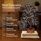 Black Tourmaline Crystal - Money Tree, Bonsai Tree, Black Tree, Tree of Life Decor, Chakra Tree of Life, Energy Gifts for Women, Crytals and Gemstones