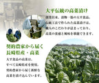 Shimabara Takanazuke Japanese Pickled Mustard Leaves 200g (Pack of 2), Shimabara Peninsula Takana Pickles, Japanese Whole Pickled Mustard Greens from Nagasaki Prefecture, Preservatives Free, Ohira Foods, MADE IN JAPAN