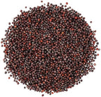 Food to Live Organic Brown Mustard Seeds, 12 Ounces – Non-GMO. Great for Sprouting, Pickling and Cooking. Non-irradiated. Bulk. Keto Friendly. Kosher