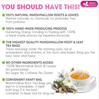 FreshDrinkUS, Premium 55 Marshmallow Root and Leaf Tea Bags, 100% Natural & Pure. Loose Leaf Marshmallow Herbal Tea. Made with Eco-Conscious Tea Bags. No Sugar, No Caffeine, No Gluten, Vegan.