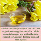Evening Primrose Oil – 100% Pure, Cold-Pressed & Unrefined, Organic Evening Primrose Oil, Rich in Natural Fatty Acids & Antioxidants – for Skin, Hair, Massage & Carrier Oil, 4 fl oz Glass Bottle
