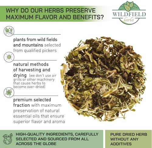 50 Bags Motherwort Tea Dried Motherwort Herb (Leonuri Herba) - 50 Tea Bags 1.5g Leonurus