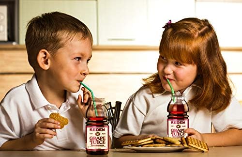 Kedem Concord Grape Juice, 8oz Plastic Bottle (24 Pack)