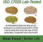 Wheatland™ Soft White Wheat Berries • 23 lbs • Delicious • Healthy Food Option • Farm Fresh • Mylar and Bucket Provide 25 Year Shelf Life • Emergency Food Storage • Non-GMO • Lab Tested Chemical-Free • Premium Baking Quality • Sproutable