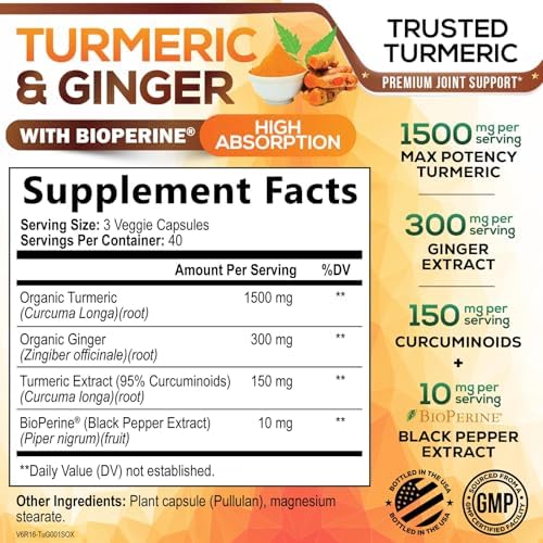 Turmeric Curcumin Supplement - 95% Curcuminoids with Organic Turmeric & Ginger, BioPerine Black Pepper Extract for Best Absorption, Natural Vegan Joint Support, Non-GMO, Bottled in USA - 120 Capsules