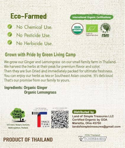 Organic Ginger Root and Lemongrass Tea Bags - Zesty Superfood Herbal Drink - Caffeine Free - 40 Natural Corn Fiber Sachets