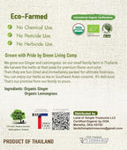 Organic Ginger Root and Lemongrass Tea Bags - Zesty Superfood Herbal Drink - Caffeine Free - 40 Natural Corn Fiber Sachets