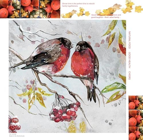 20-ct Robin 13x13 Christmas Napkins for Decoupage, Winter Bird, Fall & Thanksgiving Decorative Paper Napkins