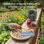 Smart Bird Camera Only, for Bird Feeder/Bath/House, 2.5K UHD Birdwatching Live, Free AI Bird Identification, Auto Capture Video, Instant Alerts, 2.4Ghz WiFi, Wireless Outdoor Cam for Bird Lovers