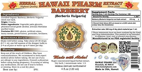 Barberry (Berberis Vulgaris) Liquid Extract Tincture 4 Oz (120ml)