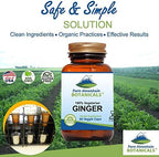 Pure Mountain Botanicals Ginger Capsules - 1000mg Organic Ginger Root - 90 Count - Kosher Vegan Non-GMO Gluten Free Supplement