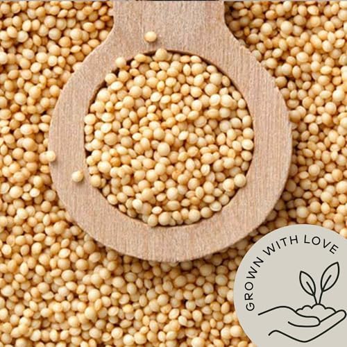 Amaranth Grain Organic (4.8 lb) - Amaranto Bulk Ancient Whole Grain Seeds - Great for Cereal, Flour | USA Grown | USDA Certified Organic | Vegan-Friendly | Non-GMO | Gluten Free