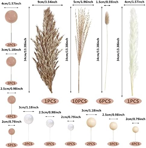 50 PCS Boho Cake Toppers Mini Balls Cake Topper Various Dried Pampas Grass Cake Decor for Boho Home Wedding Cake Decoration (White Apricot Light Brown)