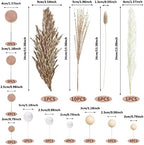 50 PCS Boho Cake Toppers Mini Balls Cake Topper Various Dried Pampas Grass Cake Decor for Boho Home Wedding Cake Decoration (White Apricot Light Brown)