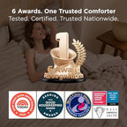 Bedsure Gentlesoft™ 2-in-1 Queen Comforter Set and Detachable Fluffy Blanket, Beige Bedding Set for All Season Use, Detachable Design for Space Saving (Includes 2 Pillow Shams, 2 Pillowcases)