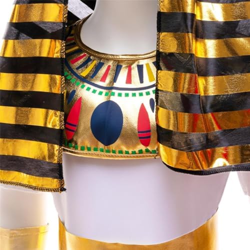 Dressy Daisy Ancient Egyptian Pharaoh Costume Set with Accessory for Toddler Kids Boys Halloween Dress up Outfit Size 4T - 12
