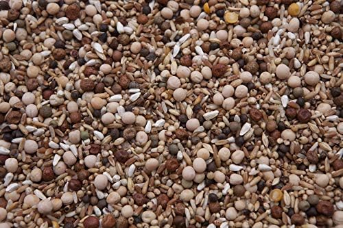 Deluxe No Corn Racer Pigeon Mix (17.5%) 8 lbs