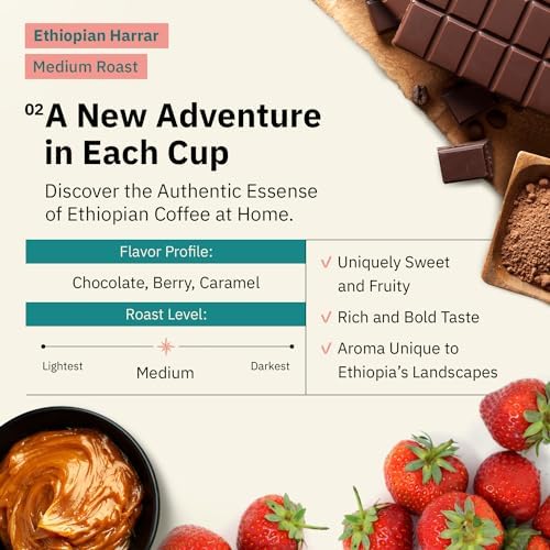 Organic Specialty Whole Bean Coffee - Freshly Roasted to Order - Medium Roast, 1 lb Bag Single Origin Ethiopian Harrar Coffee Beans - Farm Direct, Chocolate & Fruity Notes