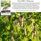 Black Turtle Soup Bean Seeds – 25+ Non-GMO & Heirloom Seeds, Phaseolus vulgaris, Rich Flavor Black Beans for Soups & Stews, High Yield Warm-Season Legume, by Isla’s Garden Seeds, Gift Idea