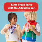 Once Upon A Farm, Organic Strawberry Banana Swirl Smoothie, 4 Ounce