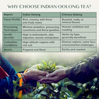 VAHDAM, High Mountain Oolong Tea Leaves From Himalayas (50+ Cups, 3.53oz) Strong & Robust Oolong Tea | High Elevation Grown | Vacuum Sealed | Brew Hot, Iced, Kombucha Tea | Loose Leaf Tea