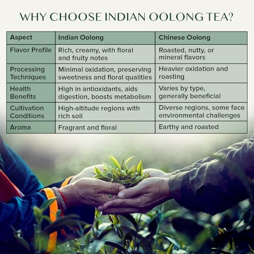 VAHDAM, High Mountain Oolong Tea Leaves From Himalayas (50+ Cups, 3.53oz) Strong & Robust Oolong Tea | High Elevation Grown | Vacuum Sealed | Brew Hot, Iced, Kombucha Tea | Loose Leaf Tea