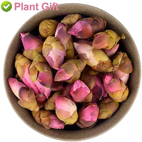 Plant Gift Organic Wild Peach Blossom tea,TaoHua Tea, 70g/2.46oz
