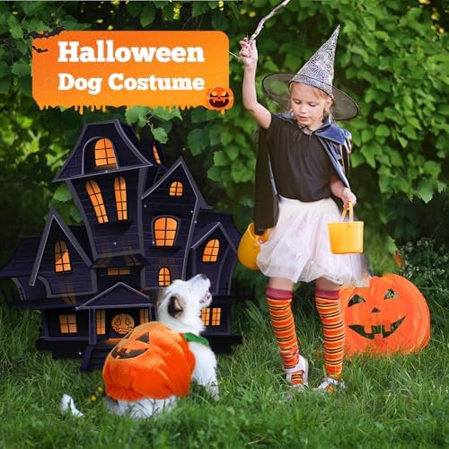 PETCARE Funny Pumpkin Dog Halloween Costume Pet Dog Cat Thick Plush Pumpkin Decoration Shirt Clothes for Small Medium Dogs Cats Puppy Cute Halloween Party Cosplay Dress Up Outfits